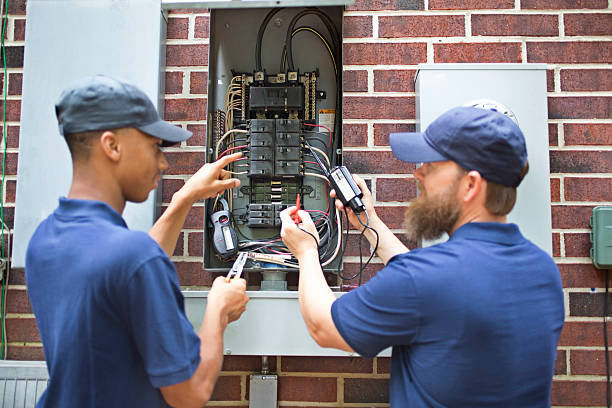 Best Electrical Panel Upgrades  in Lakemoor, IL